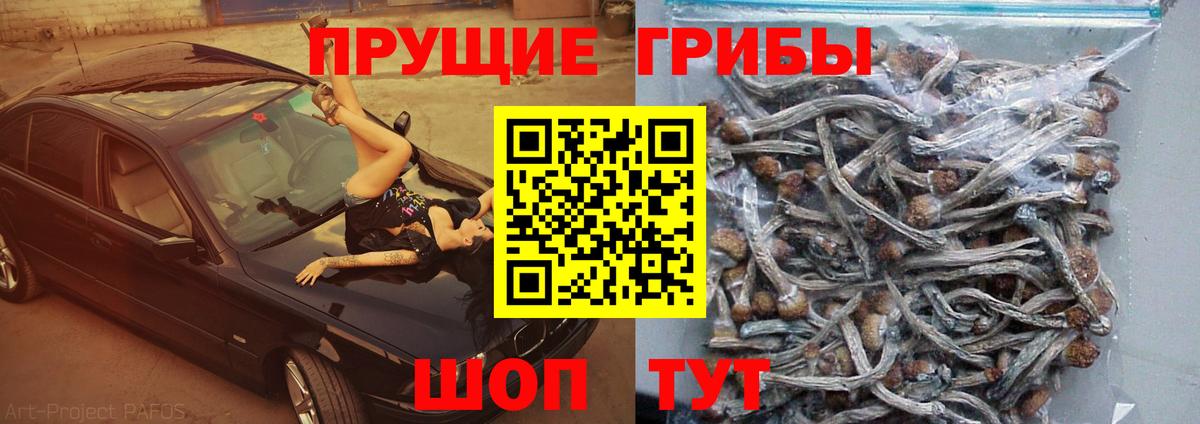 Галлюциногенные грибы Magic Shrooms Донецк