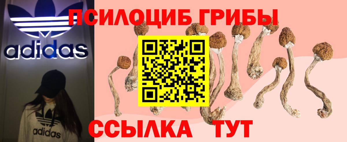 Псилоцибиновые грибы мухоморы  Вход с VPN  Донецк 